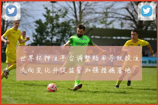 世界杯押注平台调整赔率导致投注流向变化并促监管加强措施落地